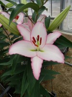 [5663 VZ W09 0222-02 No02.JPG]